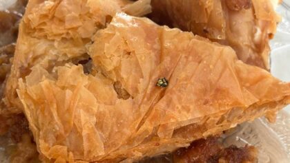 Γιαγιά,-δεν-το-τρώω…-έχει-σφήκα-μέσα!