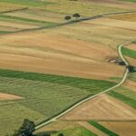 Ούτε-ευρώ-δεν-επιστράφηκε-από-τις-παράνομες-επιδοτήσεις-του-ΟΠΕΚΕΠΕ