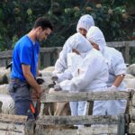 50-εκατ.-για-την-ευλογιά-–-Αποζημιώσεις-με-ανοιχτές-τις-πληγές