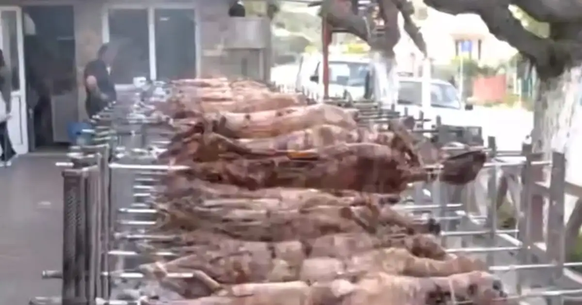 Πάτρα:-Κρεοπωλείο-δίνει-take-away-αρνιά-και-κοκορέτσια-–-Πάνω-από-80-σούβλες-έστησε-για-να-εξυπηρετήσει-τους-πελάτες-του