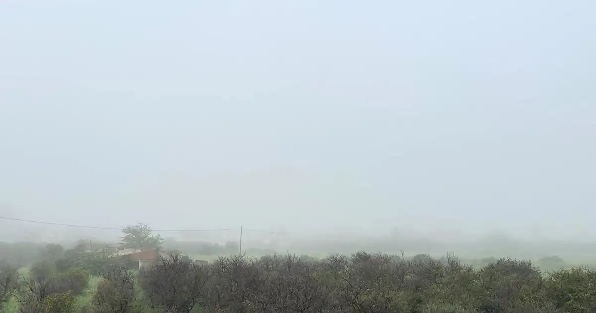 Εντυπωσιακό-φαινόμενο-στη-Σπάρτη:-Πυκνή-ομίχλη-«εξαφάνισε»-τον-Ταΰγετο