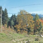 Πρόγνωση-πλημμυρών-με-Τεχνητή-Νοημοσύνη-–-eγκατάσταση-καινοτόμου-συστήματος-στη-Θεσσαλία