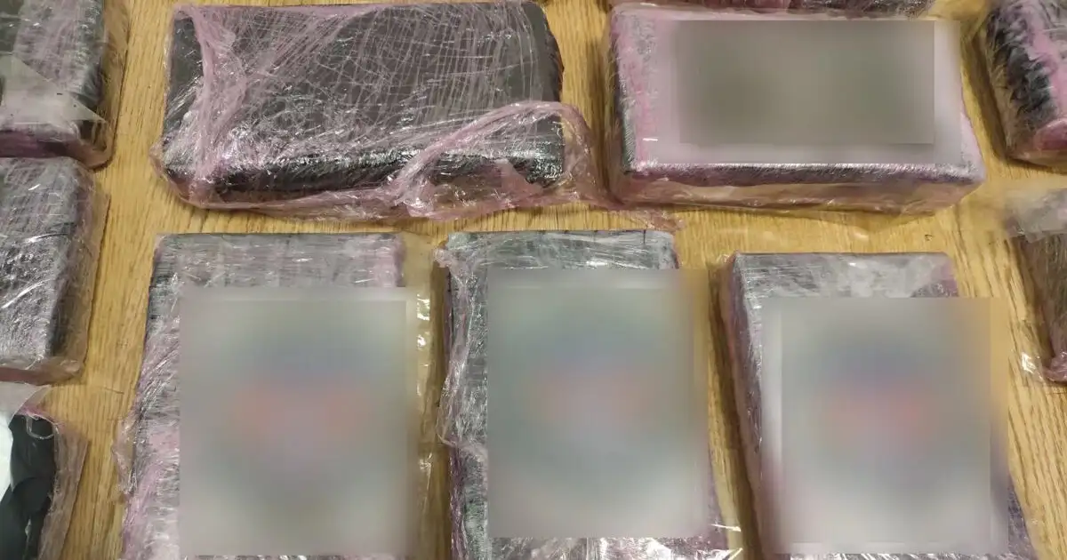 «Ξεδοντιάστηκε»-σπείρα-με-27-κιλά-κοκαΐνη-–-«Έσπρωχνε»-τα-ναρκωτικά-σε-περιοχές-του-Πειραιά