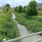 Ληθαίος:-Η-επιχείρηση-«καθαρισμός»-θέλει-τον-χρόνο-της