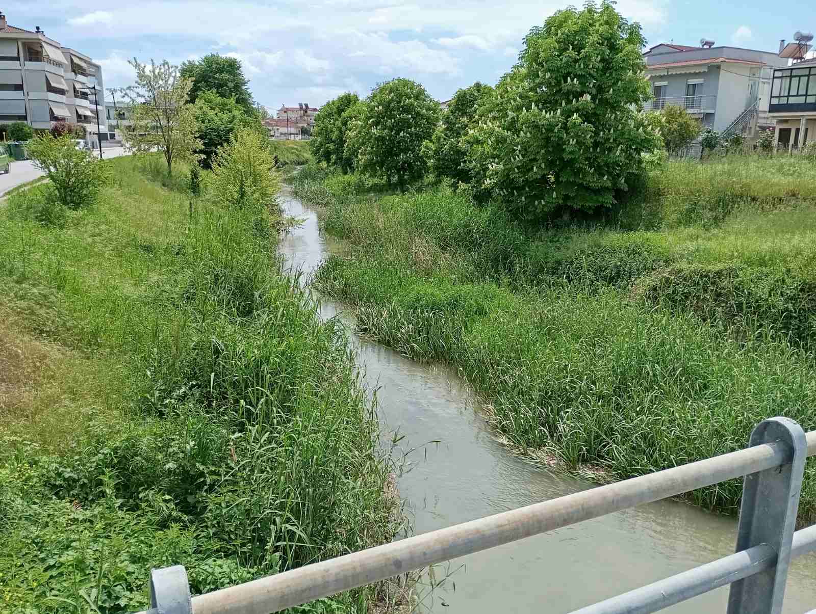 Ληθαίος:-Η-επιχείρηση-«καθαρισμός»-θέλει-τον-χρόνο-της