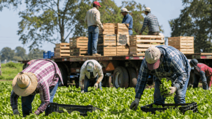 Τέλος-στο-εργόσημο-των-εργατών-γης;
