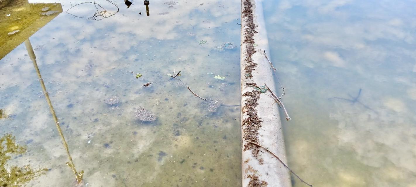 Τρίκαλα:-Αιχμηρό-σχόλιο-Ηλιάδη-για-τα-34.372-ευρώ-στα-συντριβάνια