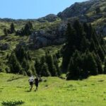«koziakas-trail-2026»:-Η-Ελάτη-στο-επίκεντρο-του-ορεινού-αθλητισμού-με-550-συμμετοχές-από-όλη-την-Ελλάδα