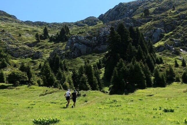 «koziakas-trail-2026»:-Η-Ελάτη-στο-επίκεντρο-του-ορεινού-αθλητισμού-με-550-συμμετοχές-από-όλη-την-Ελλάδα