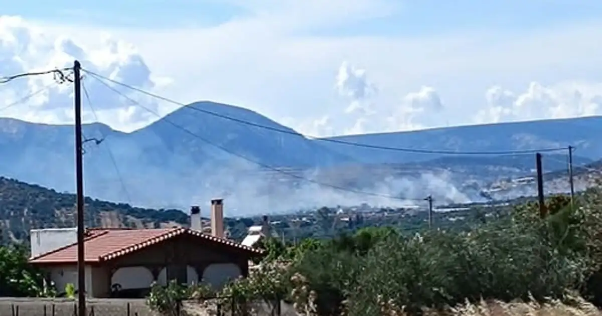 Φωτιά-στα-Καλύβια-σε-χαμηλή-βλάστηση:-Μεγάλη-κινητοποίηση-της-Πυροσβεστικής