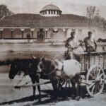 Έκδοση-βιβλίου-από-τον-Ιερό-Ναό-Αγίας-Παρασκευής-Φλαμουλίου