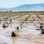 Επιτάχυνση-εκκαθαρίσεων-στη-Θεσσαλία-εν-όψει-εκλογών
