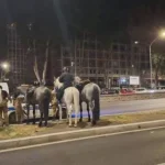 Ρώμη:-Άλογα-τρόμαξαν-από-πυροτεχνήματα-και-σκόρπισαν-το-χάος-στους-δρόμους-–-ΒΙΝΤΕΟ