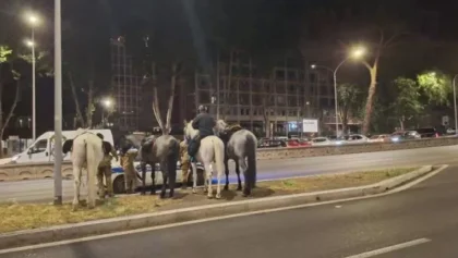 Ρώμη:-Άλογα-τρόμαξαν-από-πυροτεχνήματα-και-σκόρπισαν-το-χάος-στους-δρόμους-–-ΒΙΝΤΕΟ