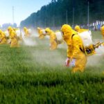 ΠΡΑΣΙΝΟ-ΚΙΝΗΜΑ:-Ντροπή-της-κυβέρνησης-που-«σερβίρει»-νέα-μεταλλαγμένα-στο-πιάτο-μας