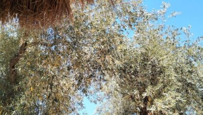 Τουρισμός:-Μείωση-στις-αφίξεις-τον-Απρίλιο-–-Συναγερμός-για-τη-σεζόν