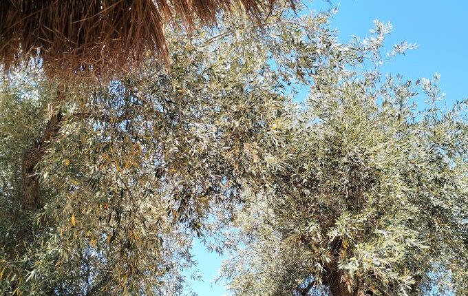 Τουρισμός:-Μείωση-στις-αφίξεις-τον-Απρίλιο-–-Συναγερμός-για-τη-σεζόν