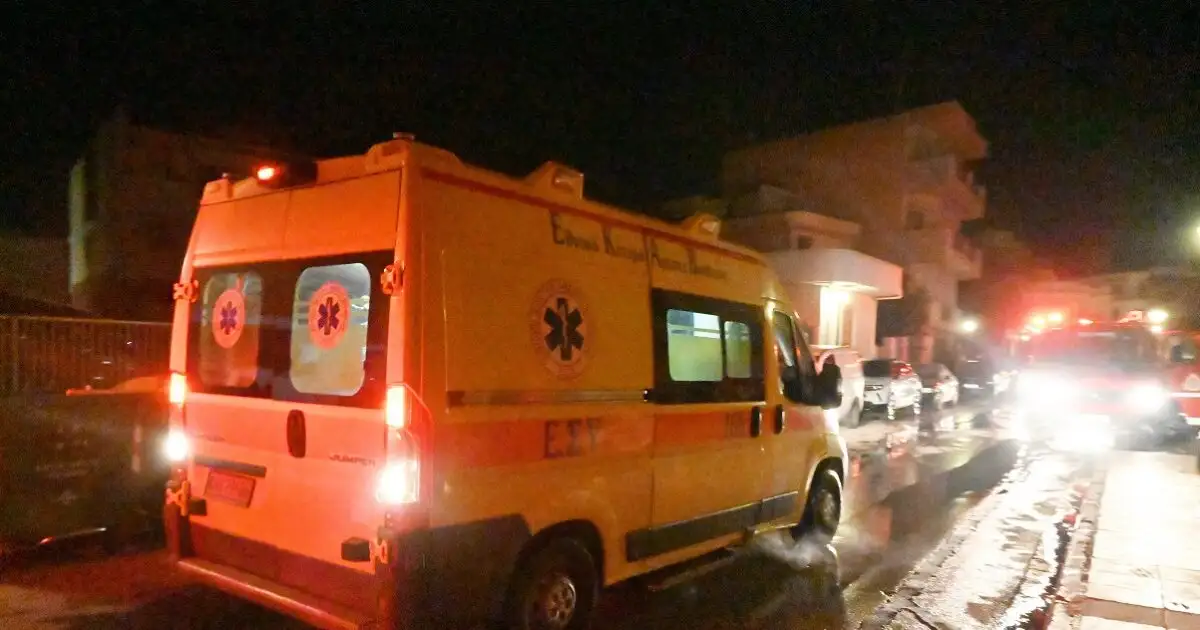 Τραγωδία-στην-Εύβοια:-Νεκρή-μια-21χρονη-–-Είχε-τσιμπηθεί-από-σφήκα