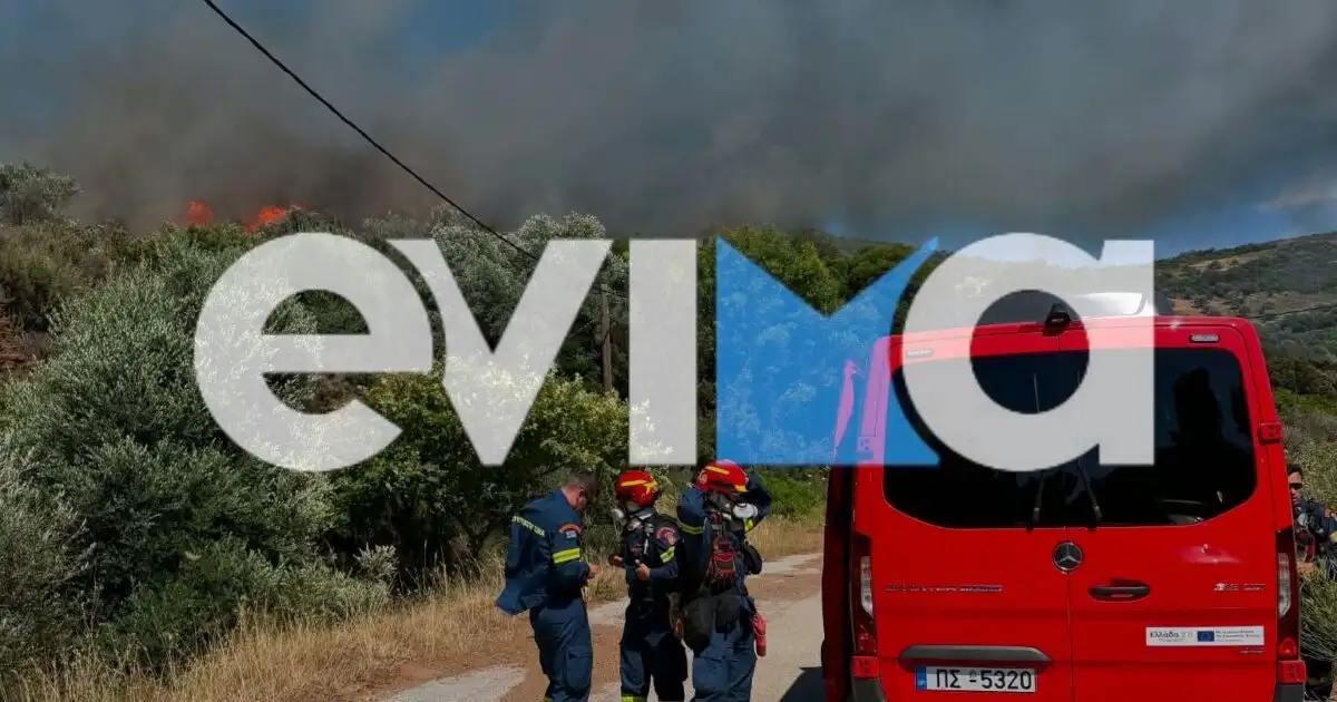 Φωτιά-στα-Εύβοια:-Καίγεται-δάσος-κοντά-στα-Μεσοχώρια-–-Ήχησε-το-112-και-συνδράμουν-9-εναέρια-μέσα