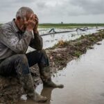 Αγροτικό-ρεύμα:-Χρέη-και-φόβος-διακοπών-στους-αγρότες