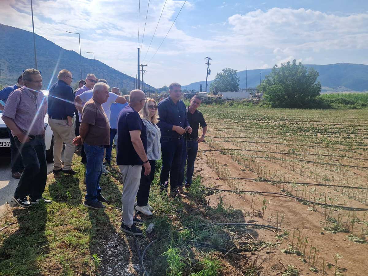 Φαρκαδόνα:-Αυτοψία-στις-καλλιέργειες-μετά-το-χαλάζι