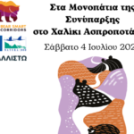 Χαλίκι-Ασπροποτάμου:-Μια-ημέρα-αφιερωμένη-στη-συνύπαρξη-ανθρώπου-και-άγριας-ζωής