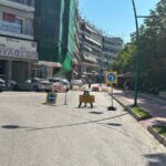 Τρίκαλα:-Έκλεισε-η-Αμαλίας-–-Καφές-με-κομπρεσέρ