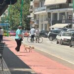 Τρίκαλα:-Σε-άδειο-δρόμο-«τράκαραν»-πεζός-και-ποδήλατο