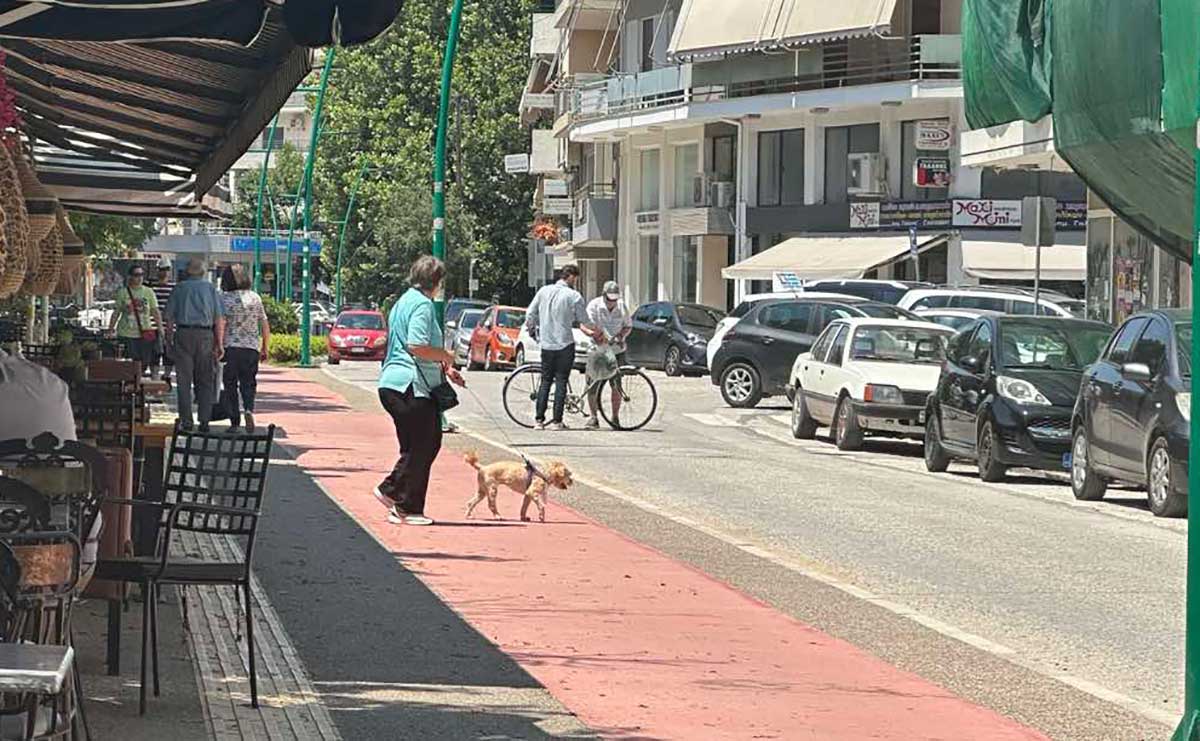 Τρίκαλα:-Σε-άδειο-δρόμο-«τράκαραν»-πεζός-και-ποδήλατο