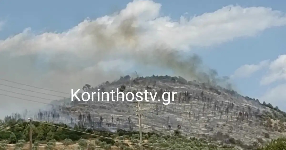 Κορινθία:-Χωρίς-ενεργό-μέτωπο-η-φωτιά-στο-Σπαθοβούνι