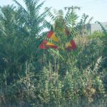 Ελλοχεύει-κίνδυνος…-Κρυφά-σήματα,-φανερές-παραλείψεις