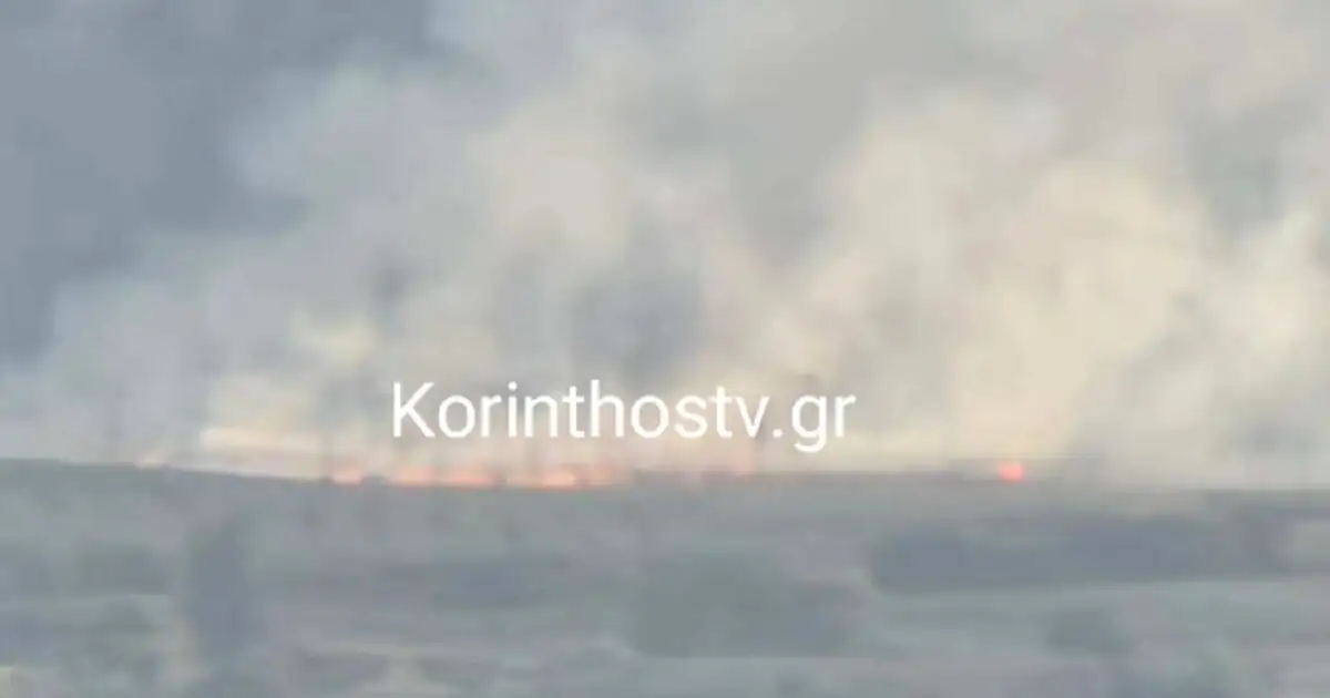Φωτιά-στον-Άσσο-Κορινθίας-–-Εναέρια-μέσα-στο-σημείο