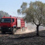 Φωτιά-ανάμεσα-σε-Πρόδρομο-και-Γενέσι-Τρικάλων