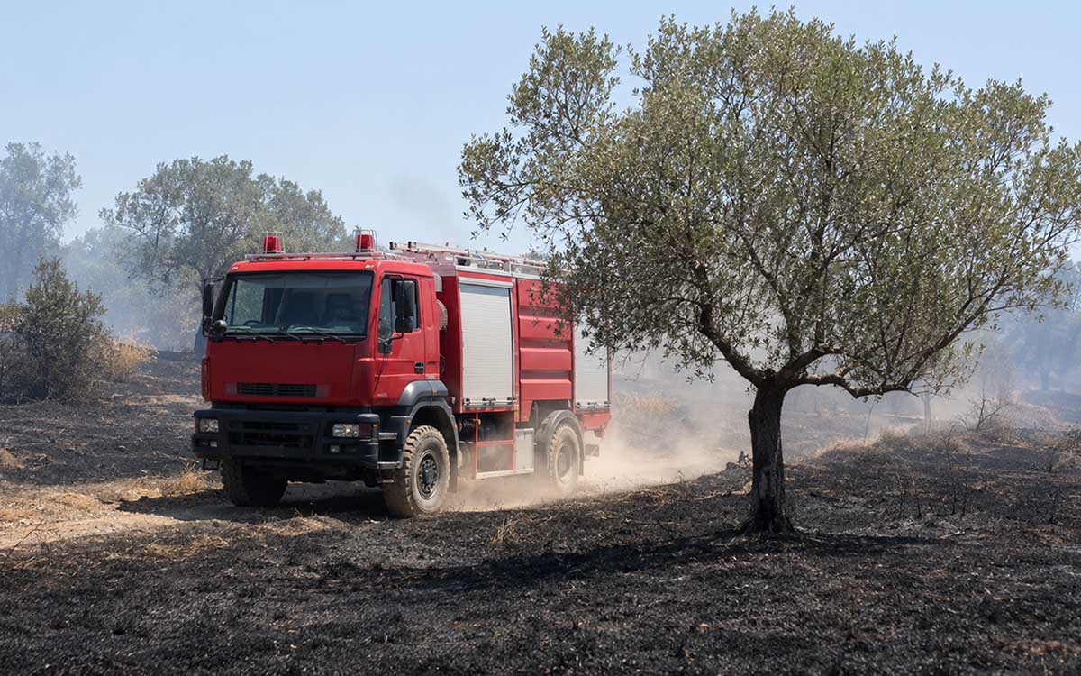 Φωτιά-ανάμεσα-σε-Πρόδρομο-και-Γενέσι-Τρικάλων