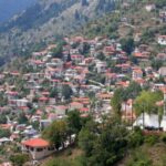 Άμεση-παρέμβαση-για-την-παρουσία-αρκούδων-εντός-του-οικισμού-Γαρδικίου,-ζητούν-Κάκιας-Κουτής
