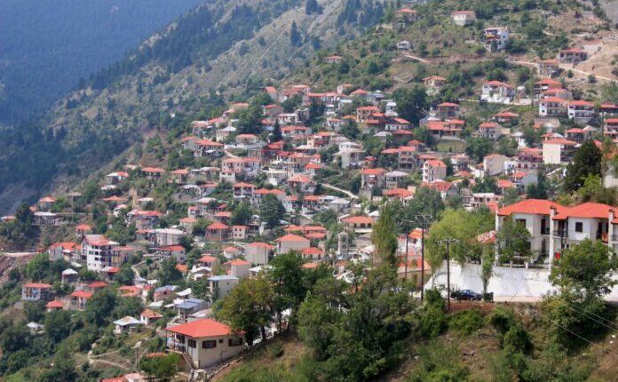 Άμεση-παρέμβαση-για-την-παρουσία-αρκούδων-εντός-του-οικισμού-Γαρδικίου,-ζητούν-Κάκιας-Κουτής