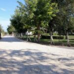 Αγροτική-οδοποιία:-Εντάχθηκαν-11-έργα,-ύψους-6-εκατ.-ευρώ-στους-δήμους-των-Τρικάλων