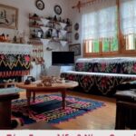 Ο-πολιτισμός-της-Μεσοχώρας-100-χρόνια-πριν-για-5η-χρονιά