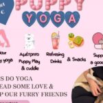 Το-πρώτο-puppy-yoga-έρχεται-στην-Χαλκιδική!