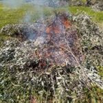 Σύλληψη-και-πρόστιμο-1.500-ευρώ-σε-Τρικαλινό-για-καύση-υπολειμμάτων-φυτικής-βλάστησης