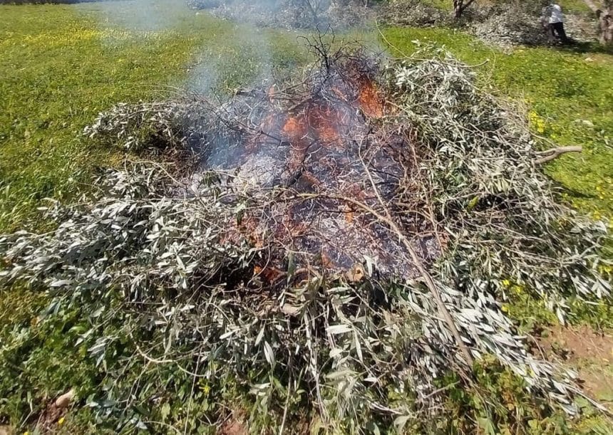 Σύλληψη-και-πρόστιμο-1.500-ευρώ-σε-Τρικαλινό-για-καύση-υπολειμμάτων-φυτικής-βλάστησης