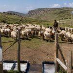 Επιπλέον-12,5-εκατ.-ευρώ-για-μέτρα-βιοασφάλειας