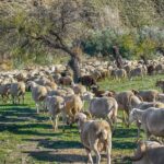Επιπλέον-12,5-εκατ.-ευρώ-για-τις-Περιφέρειες