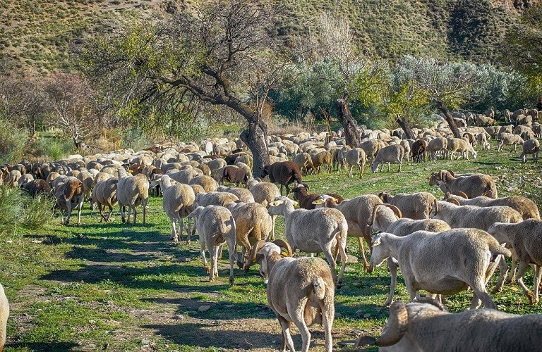 Επιπλέον-12,5-εκατ.-ευρώ-για-τις-Περιφέρειες