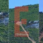 Φωτιά-στη-Βοιωτία:-Προφυλακίστηκαν-ο-Δήμαρχος-Στυλίδας,-ο-εργολάβος-και-ο-επιχειρηματίας-με-τις-ανεμογεννήτριες
