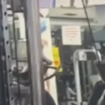 Μαγνησία:-Γροθιές-σε-γυμναστήριο-για-ένα-όργανο-–-«Θα-περιμένετε-να-τελειώσω»