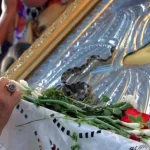 Κεφαλονιά:-Τα-“φιδάκια-της-Παναγίας”-έκαναν-και-φέτος-την-“εμφάνισή”-τους-–-Το-σπάνιο-φαινόμενο-που-συμβαίνει-κάθε-Δεκαπενταύγουστο-(Βίντεο)