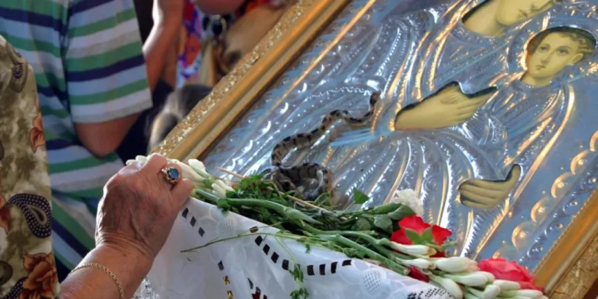 Κεφαλονιά:-Τα-“φιδάκια-της-Παναγίας”-έκαναν-και-φέτος-την-“εμφάνισή”-τους-–-Το-σπάνιο-φαινόμενο-που-συμβαίνει-κάθε-Δεκαπενταύγουστο-(Βίντεο)