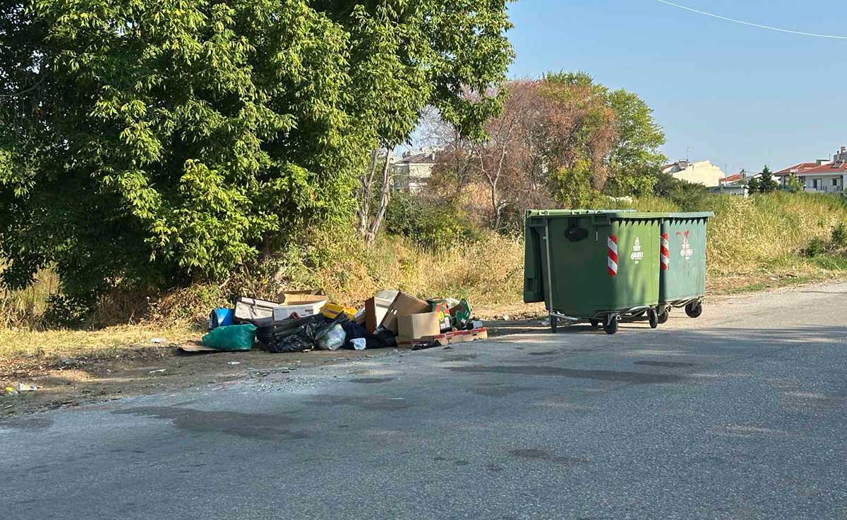 Τρίκαλα:-Άδειοι-οι-κάδοι,-τα-σκουπίδια-απ’-έξω