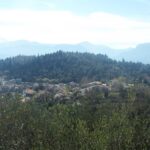 Τρίκαλα:-Απαγόρευση-κυκλοφορίας-σε-δάση-την-Πέμπτη
